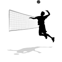 logo_volleyball